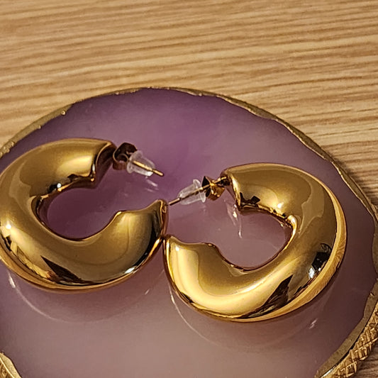 Elegant earrings